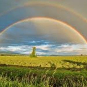 Meet your Posher, Jessie